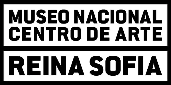 Visita al Museo Reina Sofia